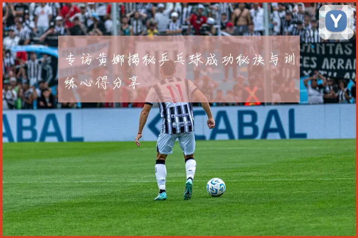 专访黄娜揭秘乒乓球成功秘诀与训练心得分享