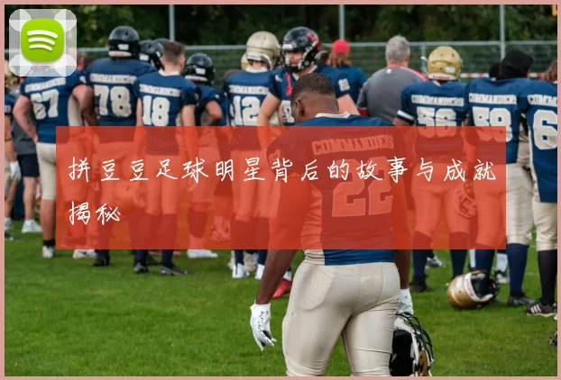 拼豆豆足球明星背后的故事与成就揭秘