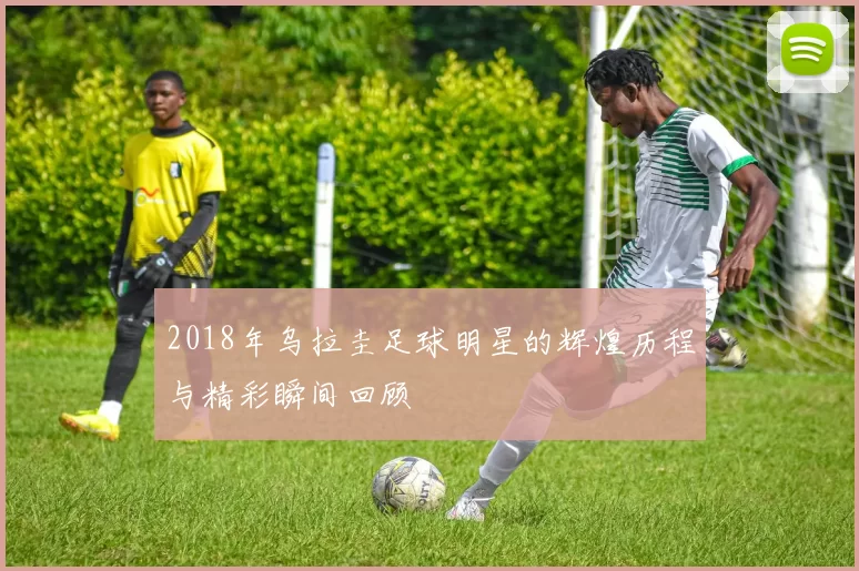 2018年乌拉圭足球明星的辉煌历程与精彩瞬间回顾