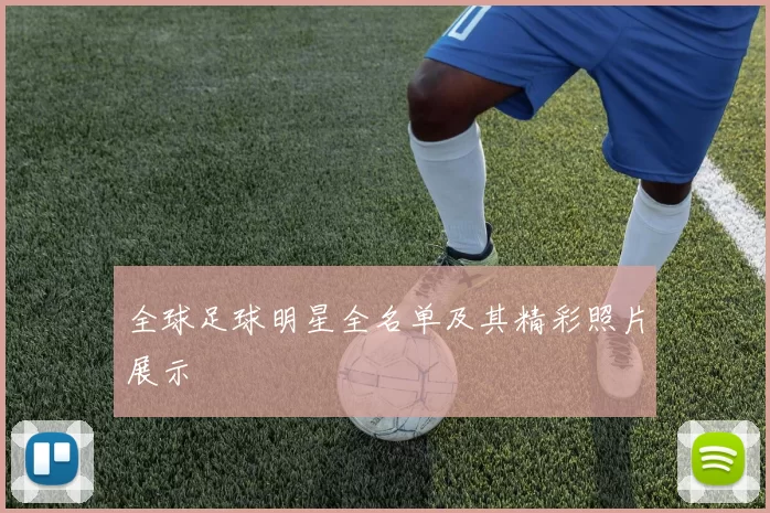 全球足球明星全名单及其精彩照片展示
