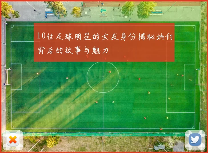 10位足球明星的女友身份揭秘她们背后的故事与魅力