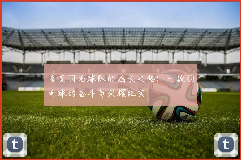 南京羽毛球队的成长之路：一段羽毛球的奋斗与荣耀纪实