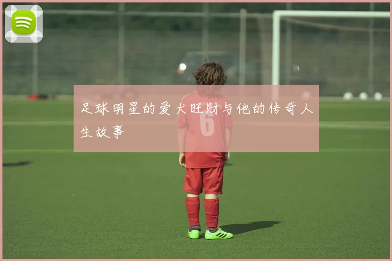 足球明星的爱犬旺财与他的传奇人生故事