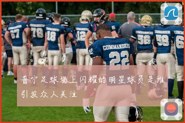 普宁足球场上闪耀的明星球员是谁引发众人关注