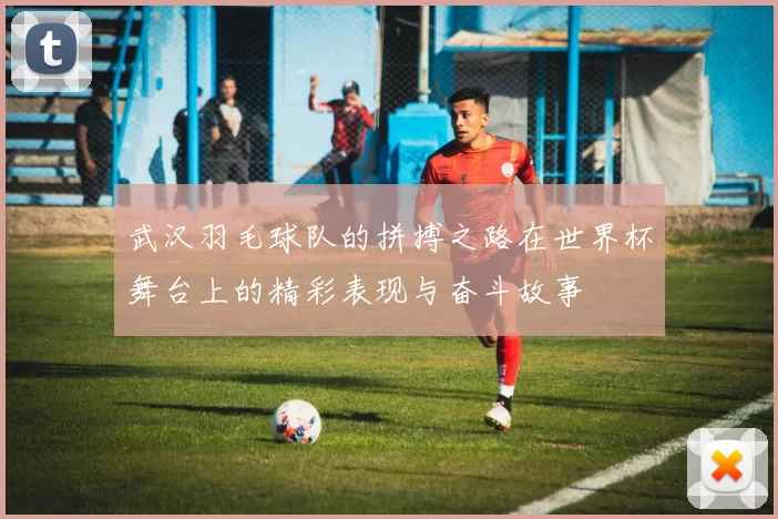 武汉羽毛球队的拼搏之路在世界杯舞台上的精彩表现与奋斗故事