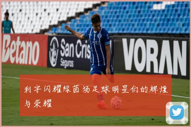 利字闪耀绿茵场足球明星们的辉煌与荣耀
