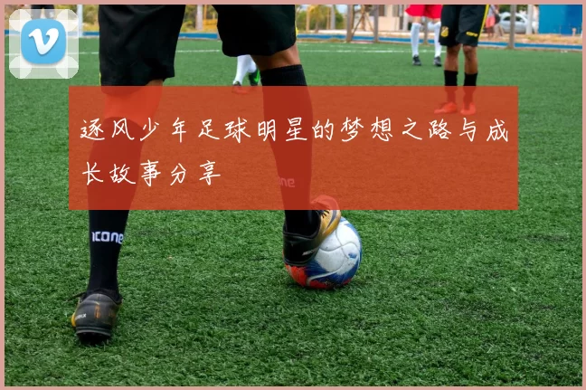 逐风少年足球明星的梦想之路与成长故事分享
