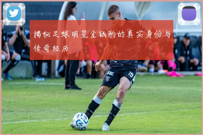 揭秘足球明星金钱豹的真实身份与传奇经历