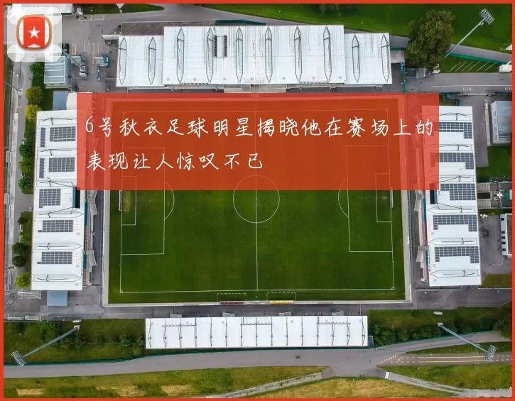6号秋衣足球明星揭晓他在赛场上的表现让人惊叹不已